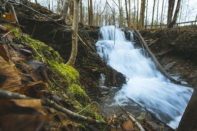Scenic view of waterfall in forest