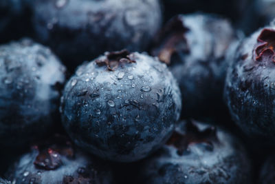 Close-up of fruits