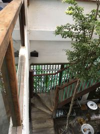 Potted plants on balcony of building