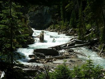 Scenic view of river flowing through rocks