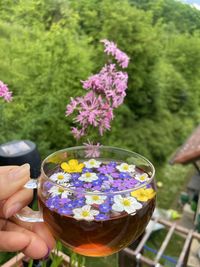 Close-up of hand holding flowers