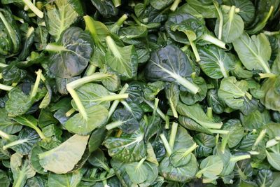 High angle view of vegetables in market