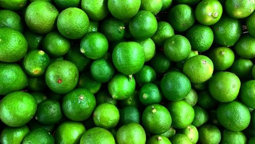 Full frame shot of citrus fruits