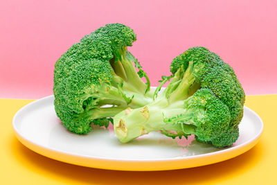 Close-up of broccoli in plate on pink background