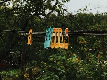 Low angle view of clothes hanging on clothesline