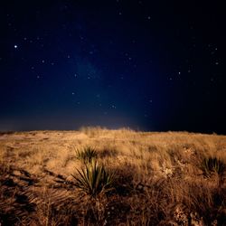 Scenic view of field against sky at night