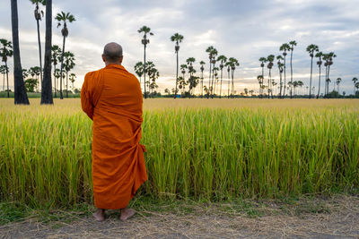 Rear view of man standing on field against sky