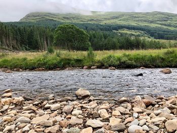 View of stones in river