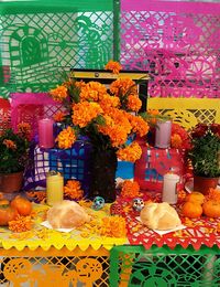 Close-up of multi colored flowers on table