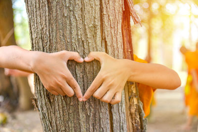 Cropped hands of woman making heart shape on tree trunk