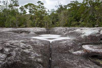 Close-up of waterfall in forest