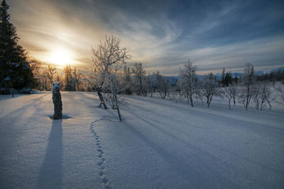 Person on snow covered field against sky during sunset