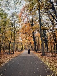 Rear view of person on a a bike on road amidst trees during autumn