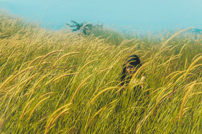 Woman amidst grass on land