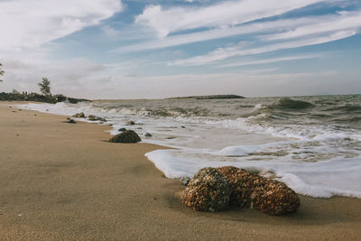 Scenic view of beach against sky