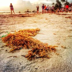 People on beach