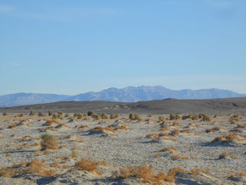 Scenic view of desert against clear sky