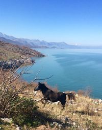 Scenic view of calm sea