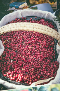 Close-up of food