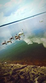 High angle view of seagulls flying over lake against sky