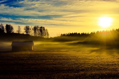 Scenic view of agricultural field against sky during sunset