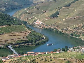 High angle view of river amidst agricultural field