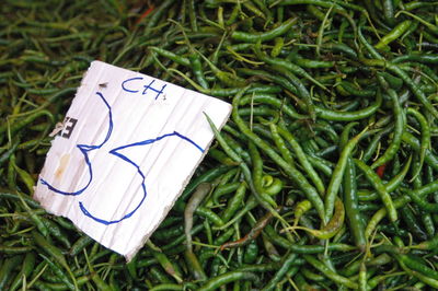 High angle view of paper on grass