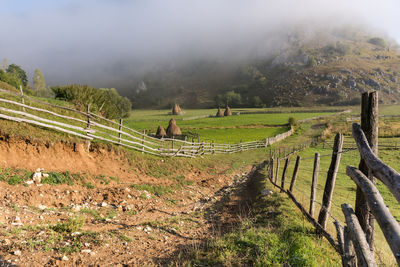 Scenic view of field against sky