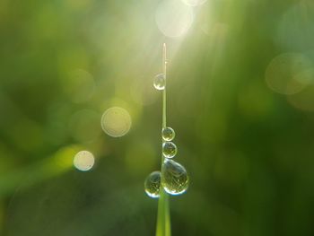 Close-up of bubbles in water