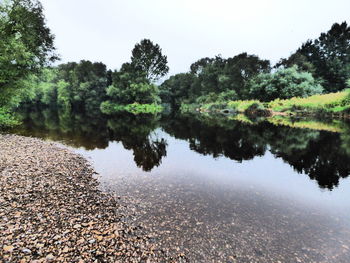 Reflection of trees in calm lake