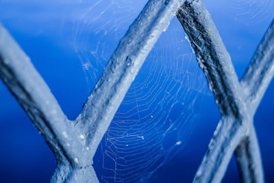 Close-up of frozen spider web