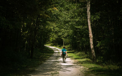 Rear view of backpacker walking in forest