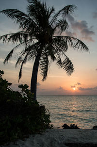 Scenic view of sea during sunset