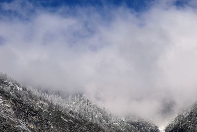 Scenic view of trees against sky during winter