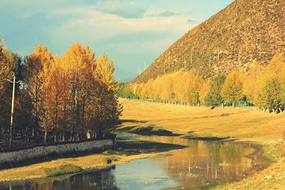 Scenic view of river with trees in background