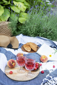 Picnic outdoors in lavender fields. rose wine in a glass, cherries and straw hat on blanket