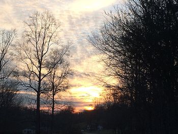 Bare trees against sky at sunset