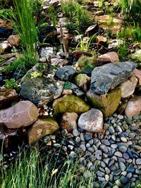 Close-up of pebbles in water