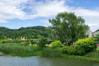 Scenic view of landscape against sky