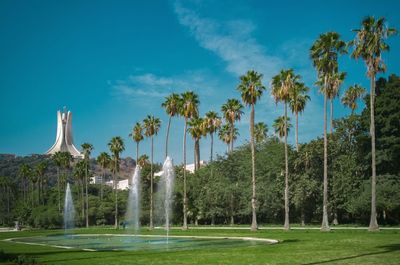 Scenic view of palm trees against blue sky