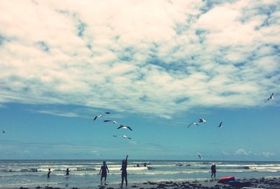 Birds flying over beach against sky