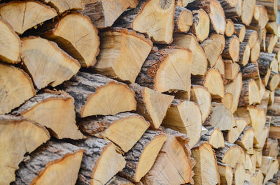 Full frame shot of logs in forest