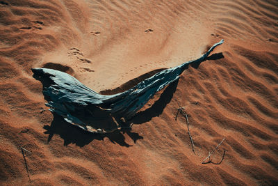 High angle view of a desert