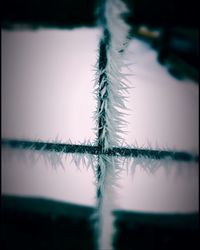 Close-up of rope on lake against sky