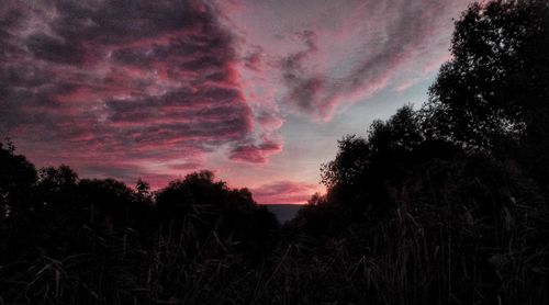 Silhouette trees against sky during sunset