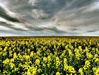 Scenic view of field against cloudy sky