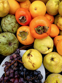 Quinces and autumn fruits in a table