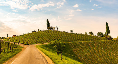 Scenic view of agricultural field against sky