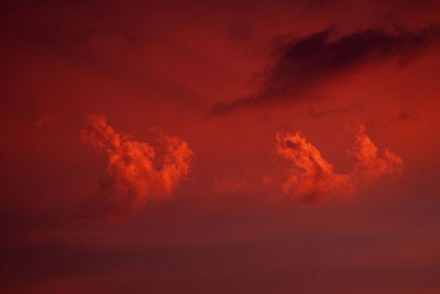 Low angle view of orange sky