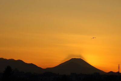 Silhouette birds flying against orange sky